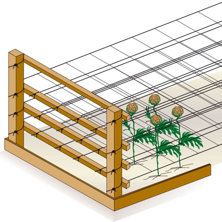 HORTONOVA-ORIZZONTALE